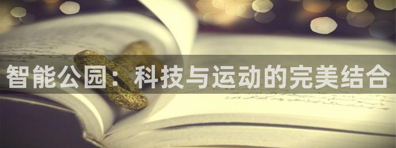 征途国际娱乐代理怎么样：智能公园：科技与运动的完美结