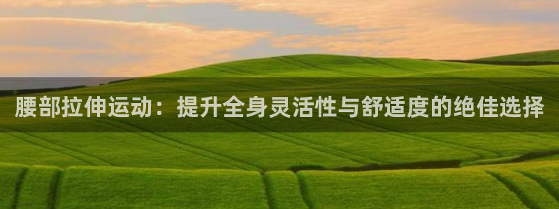 注册征途国际：腰部拉伸运动：提升全身灵活性与舒适度的绝佳选择