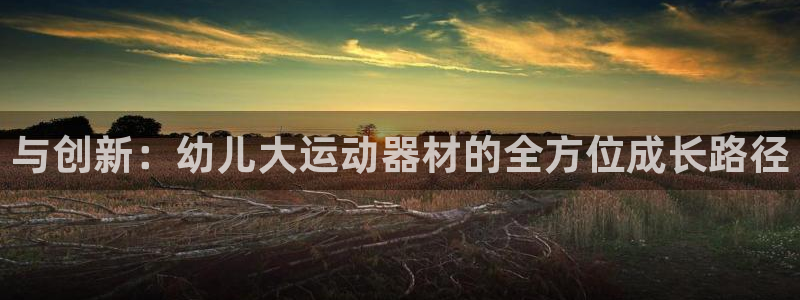 征途国际平台是正规平台吗安全吗：与创新：幼儿大运动器