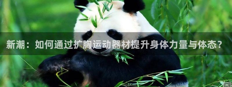 征途国际招商电话是多少号码：新潮：如何通过扩胸运动器材提升身