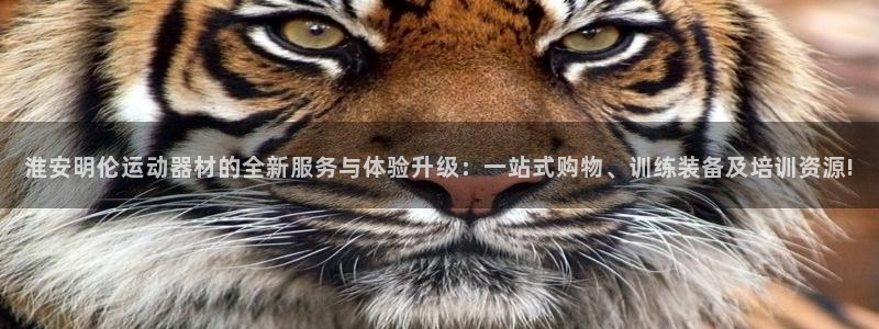 征途国际平台注册流程图：淮安明伦运动器材的全新服务与