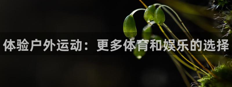 海南征途国际：体验户外运动：更多体育和娱乐的选择