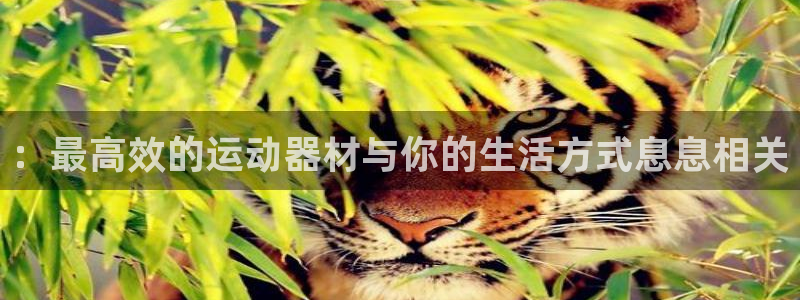 征途国际招商电话号码是多少号：：最高效的运动器材与你