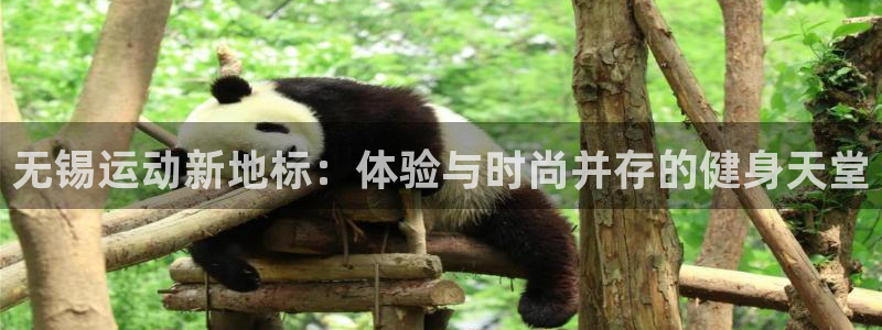 征途国际软件：无锡运动新地标：体验与时尚并存的健身天