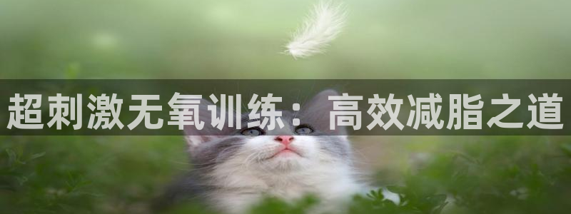 征途国际娱乐首页网站大全：超刺激无氧训练：高效减脂之道