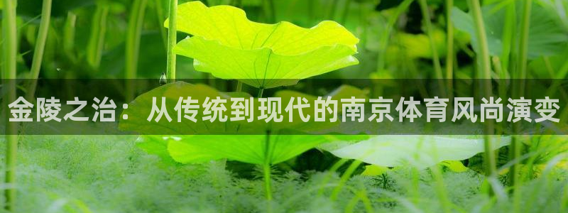 征途国际代理