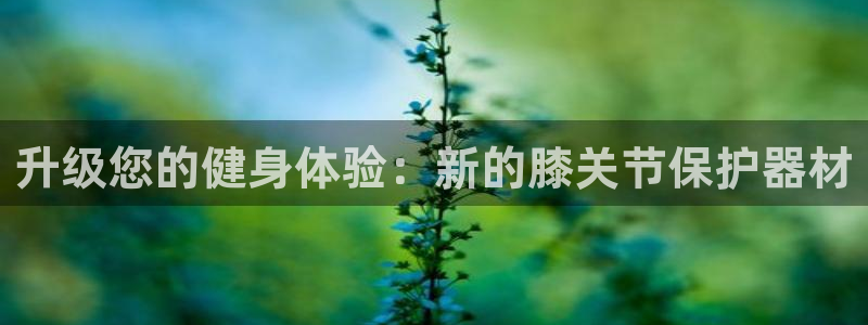 征途国际平台注册要钱吗：升级您的健身体验：新的膝关节