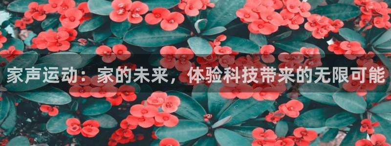 征途国际招商电话是多少：家声运动：家的未来，体验科技带来的无