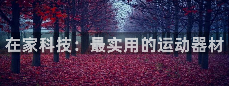 征途国际招商电话：在家科技：最实用的运动器材