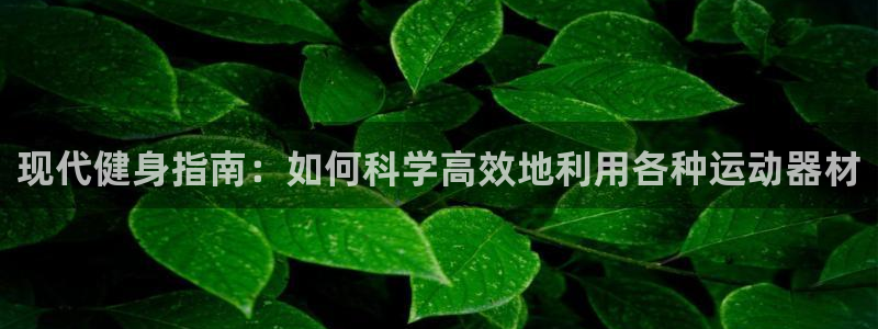 征途国际软件：现代健身指南：如何科学高效地利用各种运动器材