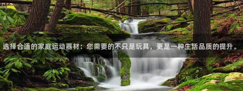 征途国际娱乐40996：选择合适的家庭运动器材：您需要的不只
