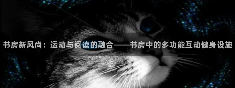 征途国际招商电话地址：书房新风尚：运动与阅读的融合——书房中