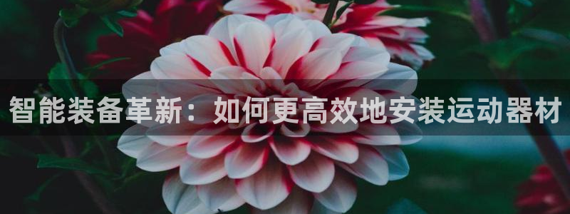 征途国际招商电话是多少啊